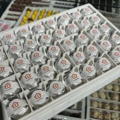 Logolu Special Kristal Çikolata